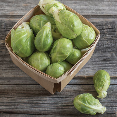 Dagan Brussels Sprouts