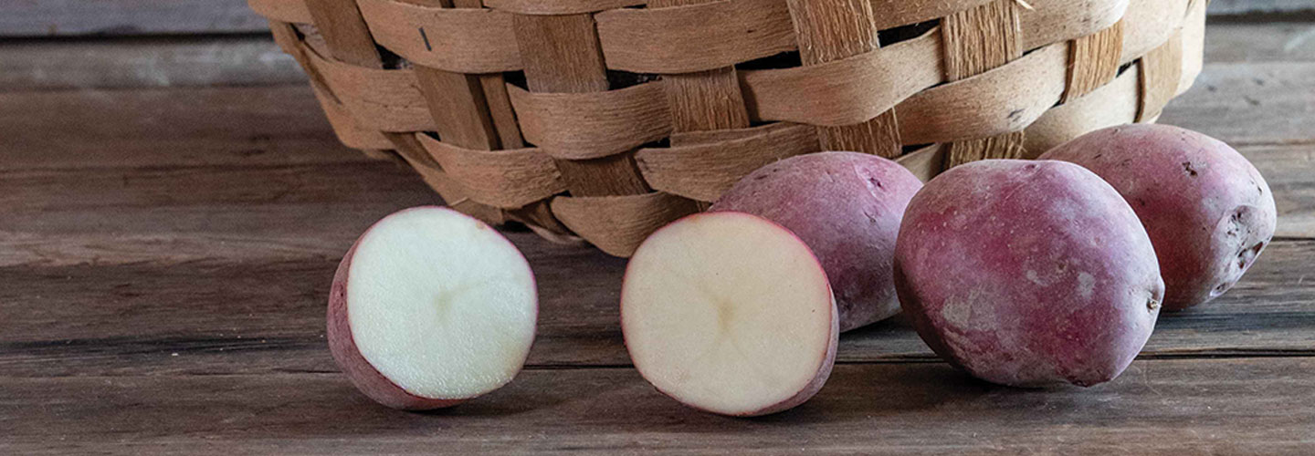 Fruit plants, seed potatoes & more