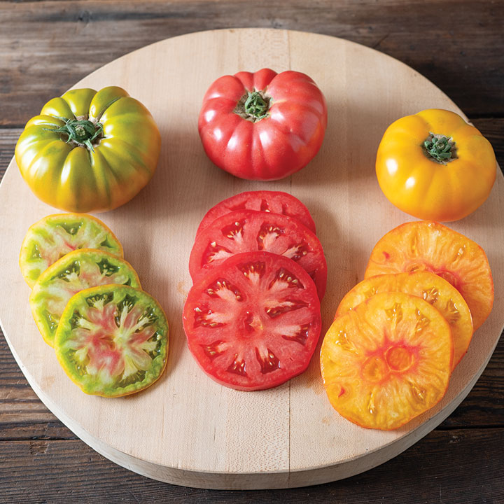 Hyloom Tomato Varieties