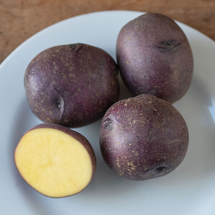 Certified Seed Potatoes